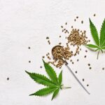 Najczęściej wybierane nasiona w Europie